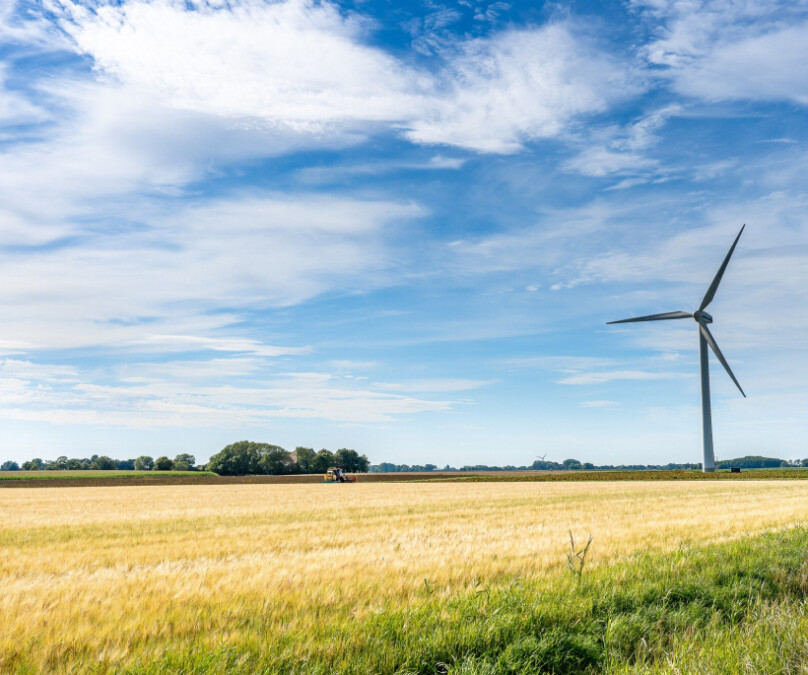 Bäcker Müller, Bild mit Windmühle im Weizenfeld mit blauem Himmel